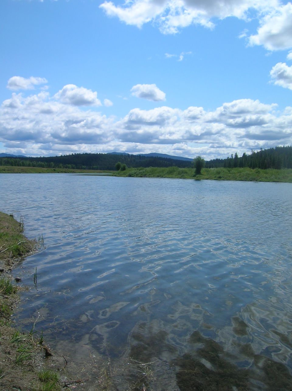 Calm lake under a partly cloudy sky with distant trees and hills