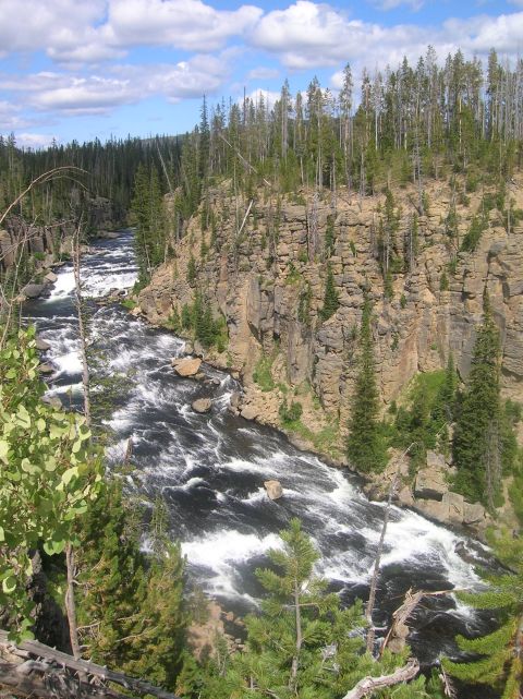1996 Ford Bronco - A powerful river carves its way through a canyon, surrounded by dense pine forests and dramatic rock formations.