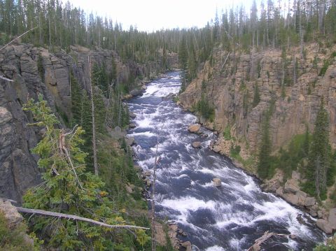 1996 Ford Bronco - A powerful river carves its path through a canyon, surrounded by dense evergreen forests.