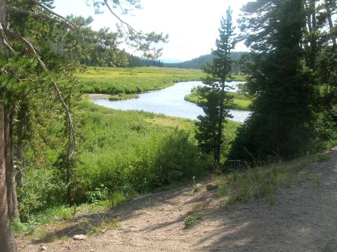 1996 Ford Bronco - A scenic view of a river meandering through a lush meadow, framed by trees.
