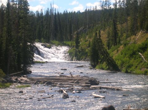 1996 Ford Bronco - A wide river flows past a waterfall, with fallen trees scattered in the water and along the banks.