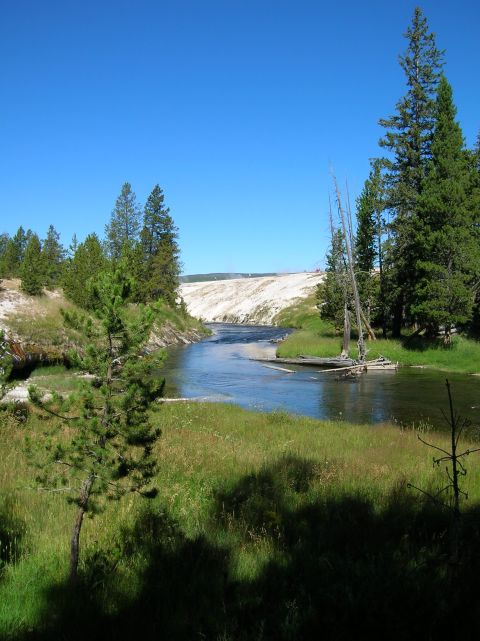 1996 Ford Bronco - A wide river winds through a sun-drenched meadow, bordered by trees and a distant, pale geological formation.