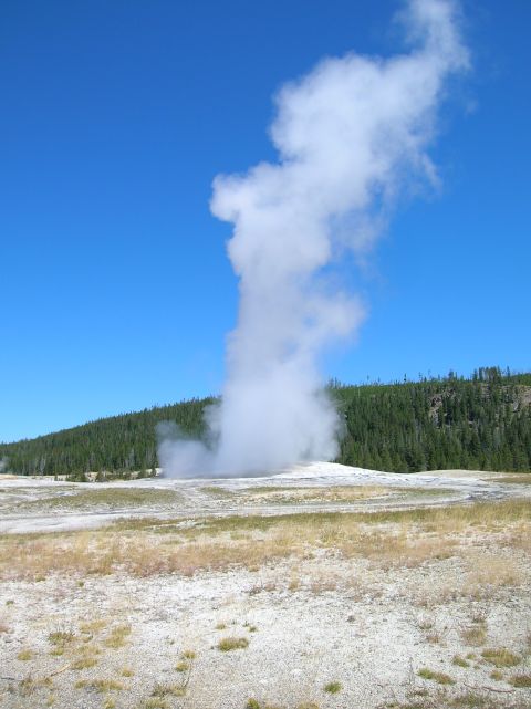 1996 Ford Bronco - Old Faithful geyser erupts, sending a massive cloud of steam high into the clear blue sky over a grassy landscape.