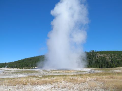 1996 Ford Bronco - Old Faithful geyser erupts, sending a massive plume of steam high into the bright blue sky over a landscape of dry grass and pine trees.