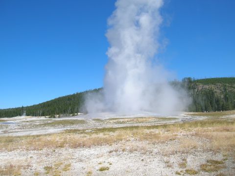 1996 Ford Bronco - A geyser erupts, sending a tall column of steam high into the air under a bright blue sky.
