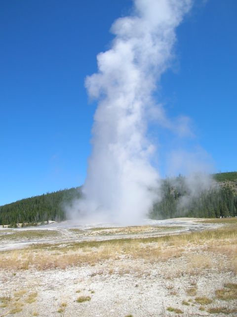 1996 Ford Bronco - A geyser erupts, sending a massive column of steam high into the clear blue sky over a landscape of dry grass and pine trees.