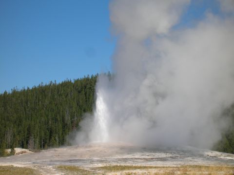 1996 Ford Bronco - Old Faithful geyser erupts, sending a powerful plume of steam and water into the air against a backdrop of a dense pine forest.