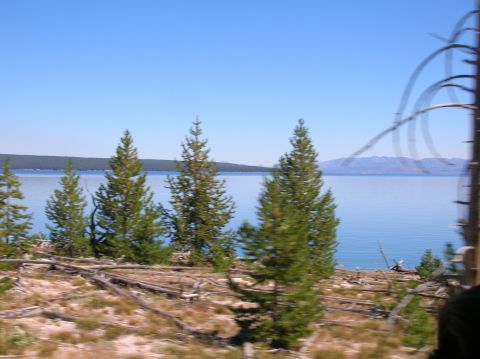 1996 Ford Bronco - A landscape view of a lake surrounded by pine trees and dry vegetation under a bright blue sky.