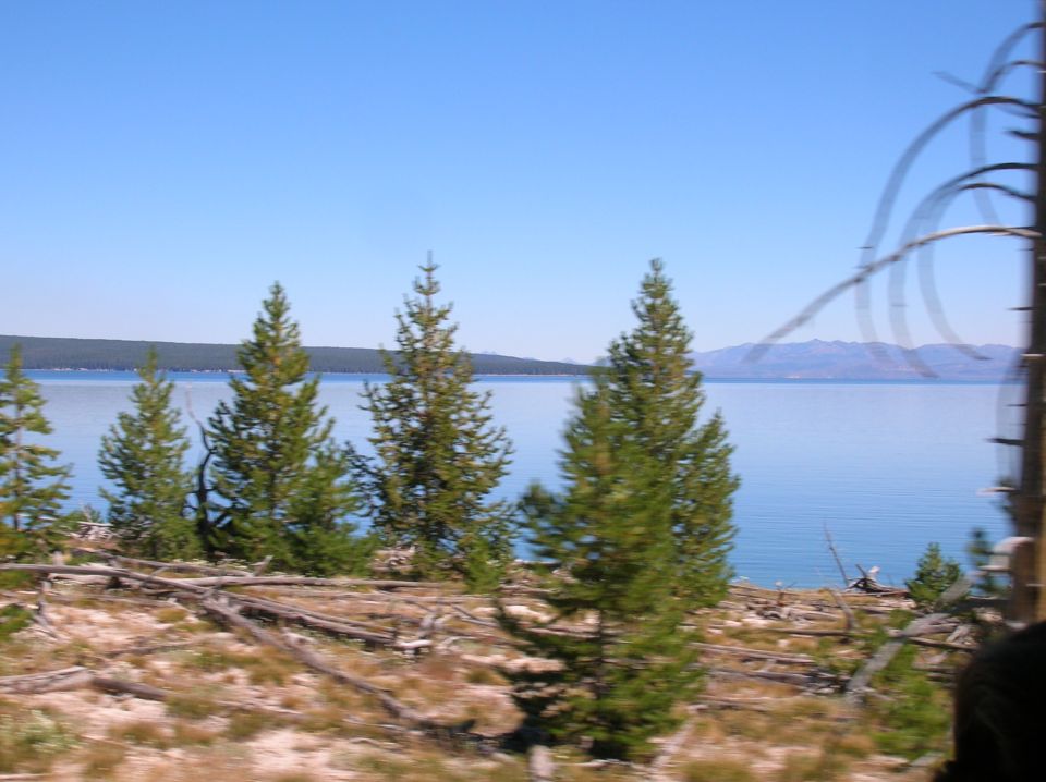 Trees and dry brush in foreground, calm blue lake and distant mountains under a clear blue sky