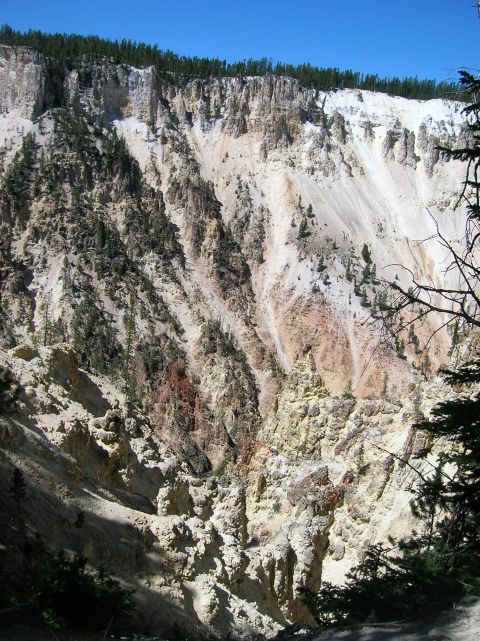 1996 Ford Bronco - A steep canyon wall with sparse trees growing on its slopes. The canyon walls are composed of layered rock in shades of white, tan, and red.
