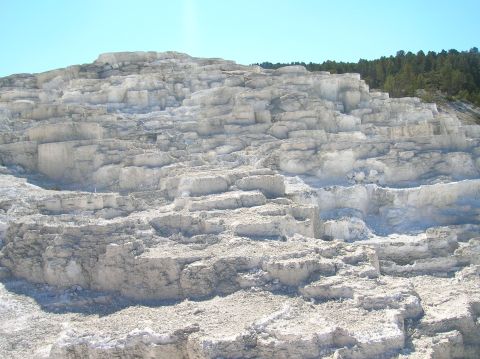 1996 Ford Bronco - A wide view of a natural landscape featuring white, layered travertine terraces under a clear blue sky. A line of green pine trees borders…