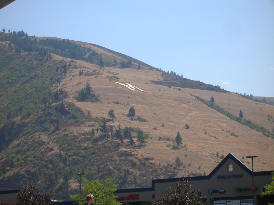 White letter 'M' on a grassy hillside with a building in the foreground.