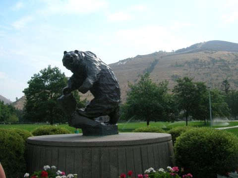 1996 Ford Bronco - A bronze bear statue is the main subject in front of a grassy hill with a large white "M" visible on its side. The statue is on a stone ped…
