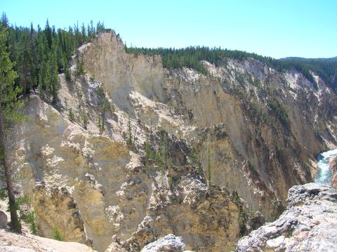 1996 Ford Bronco - A wide view of a steep, rocky canyon with a river flowing at the bottom. Pine trees line the rim of the canyon under a clear blue sky.
