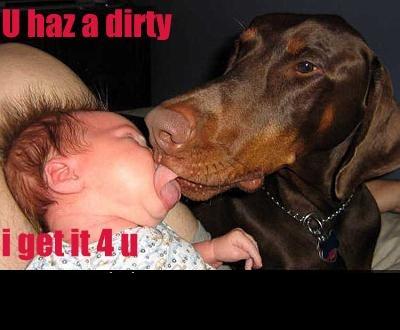 1988 Mercury Grand Marquis - A brown Doberman pinscher dog licks the face of a baby. Red text overlays the image with the phrases "U haz a dirty" and "i get it 4 u."