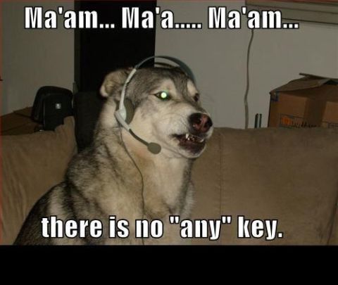 1988 Mercury Grand Marquis - A husky dog wearing a headset and looking at the camera with glowing eyes. The dog is sitting on a couch with text overlays.