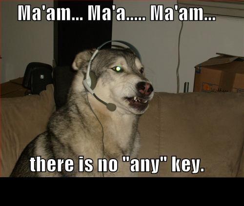 Husky dog with headset and glowing eyes, meme.