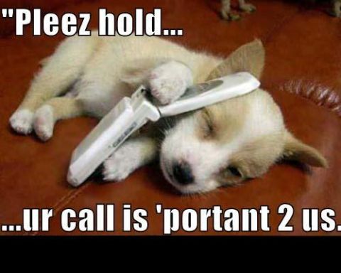1988 Mercury Grand Marquis - A puppy is sleeping with a cordless phone on its head, with text overlayed that reads "Pleeze hold... ...ur call is 'portant 2 us."