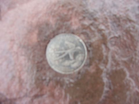 2005 Ford Mustang - A blurry image shows a coin with a bird design on it, resting on a textured, reddish-brown surface. The coin is the primary focus, but its…