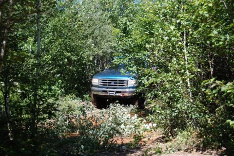 1996 Ford Bronco - Photograph of a teal Ford truck on a wooded trail, not a technical document.