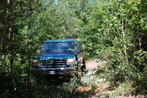 1996 Ford Bronco - Photograph of a teal Ford Bronco among heavy foliage, not a technical document.