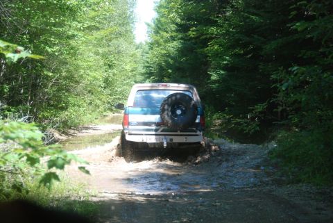 1996 Ford Bronco - A Ford Bronco navigates a muddy path surrounded by dense forest foliage.
