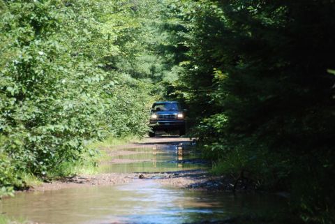1996 Ford Bronco - A dark green 1992 Ford Bronco navigates a waterlogged dirt path surrounded by dense trees.