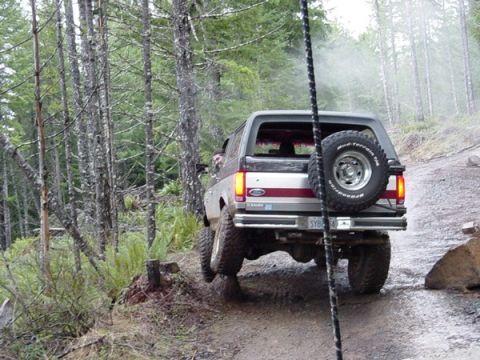 1989 Ford Bronco - A Ford Bronco navigates a wooded off-road trail with a spare tire mounted on its rear.