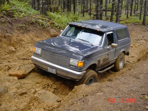 1989 Ford Bronco - This dark blue SUV is stuck in the mud while navigating a challenging wooded trail.
