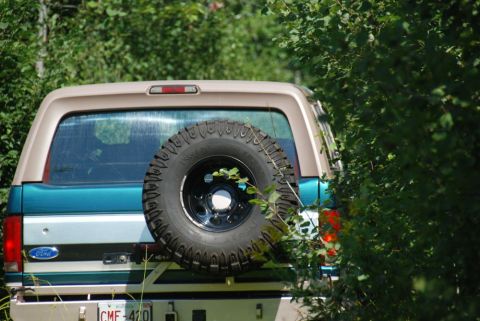 1996 Ford Bronco - The rear of a 1996 Ford Bronco is visible, with a spare tire mounted externally and surrounded by green foliage.