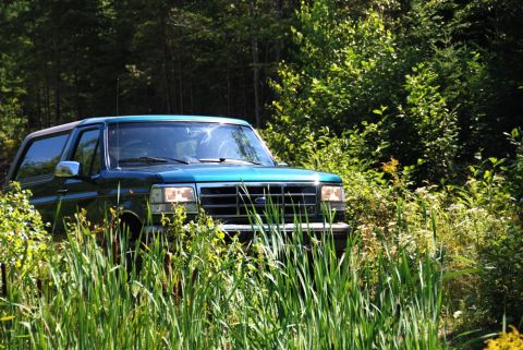 1996 Ford Bronco - 1996 Ford Bronco navigates through a grassy area with trees in the background.