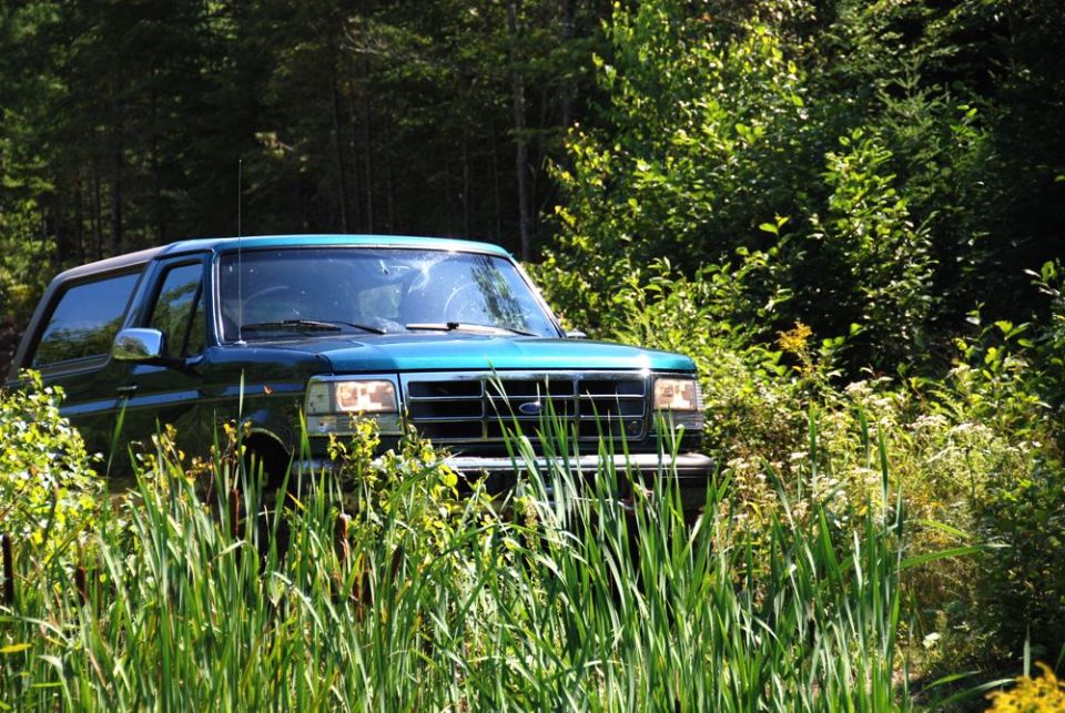 Green 1996 Ford Bronco partially obscured by tall grass, driving on a dirt path near trees