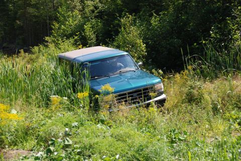 1996 Ford Bronco - A teal SUV is partially obscured by dense vegetation and tall grass.