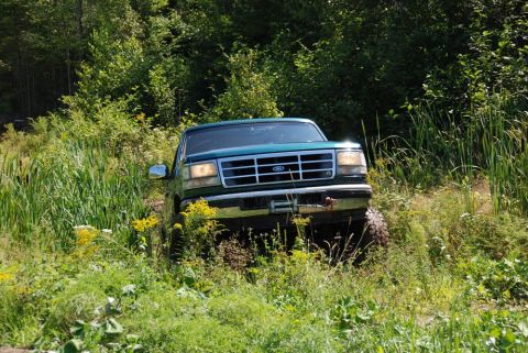 1996 Ford Bronco - A green Ford Bronco navigates through a grassy, wooded area.