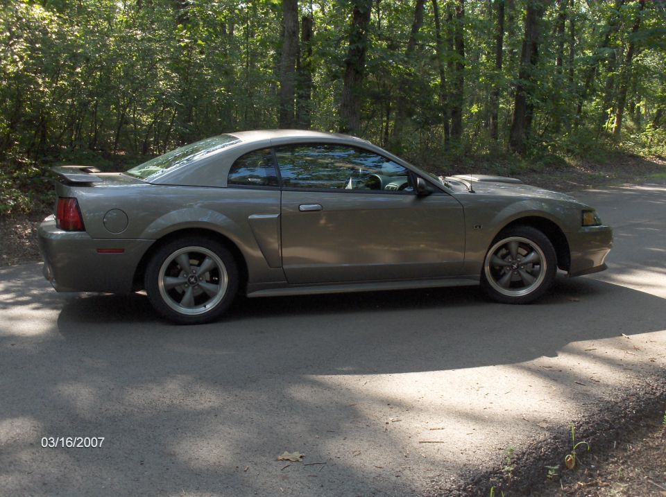 Gray Ford Mustang coupe parked on a road with trees in the background.