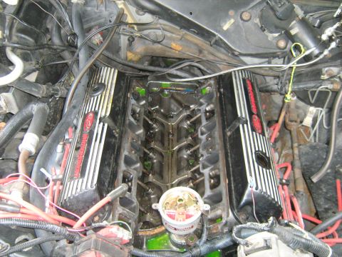1988 Mercury Grand Marquis - 8-22-08