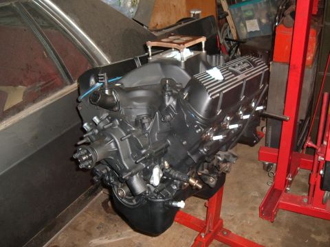 1981 Ford LTD - This the motor painted and ready to go in the car. I still need to find an oil cooler o-ring and some little things, and fix the power brak…
