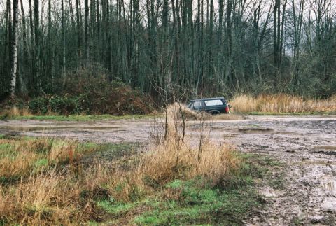 1995 Ford Bronco - A dark SUV navigates a muddy path surrounded by trees and tall grass.