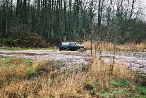 1995 Ford Bronco - go-go-go