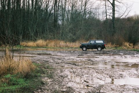 1995 Ford Bronco - A black SUV navigates a muddy terrain, surrounded by dense trees and tall grass.