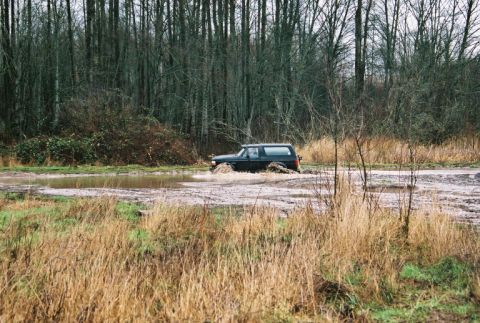 1995 Ford Bronco - A black 1995 Ford Bronco navigates a muddy terrain, kicking up water as it drives through a shallow pool.