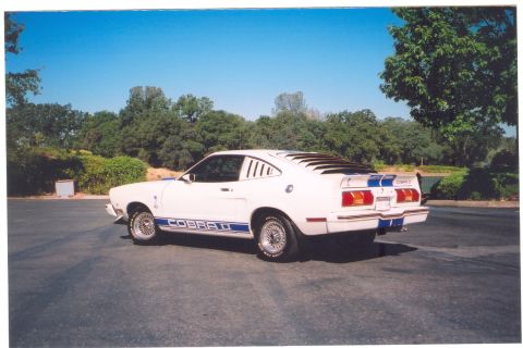 1975 Ford Mustang — My 76 Cobra II