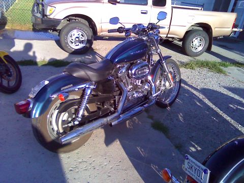 2002 Kawasaki Ninja - Sportster 1200 I got to ride.