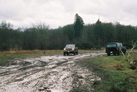 1995 Ford Bronco - Then there was 2WD