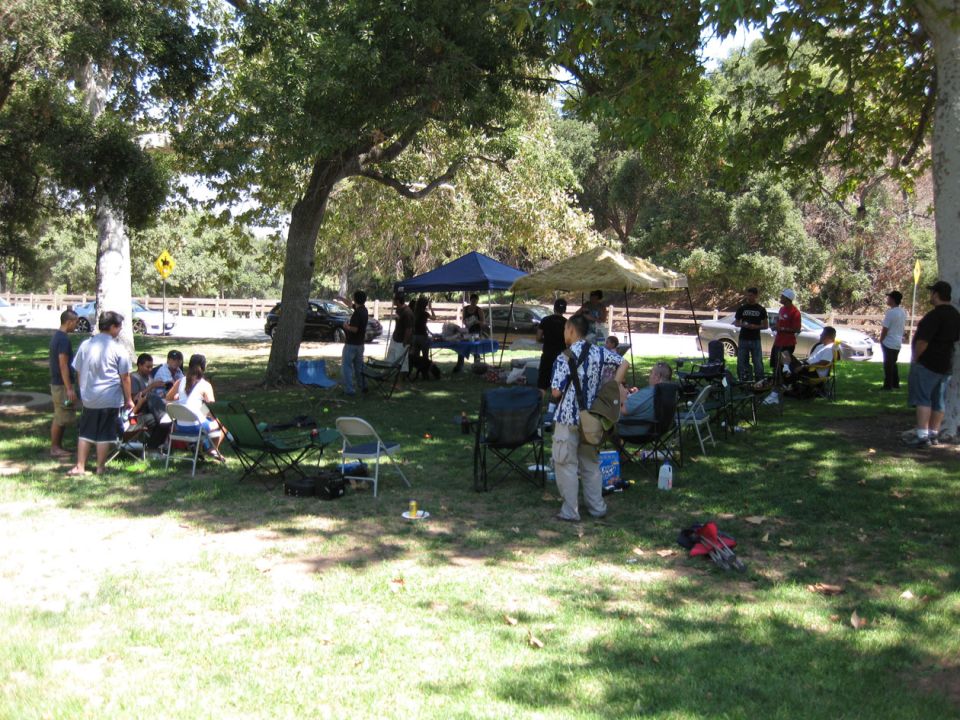 People gathered in a park with cars in the background.