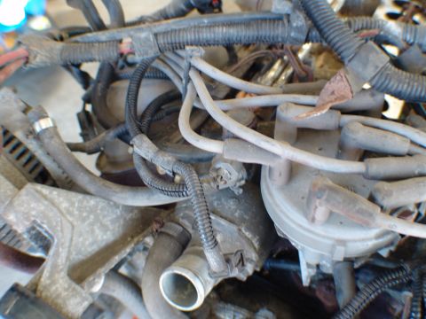 1996 Ford Bronco - A detailed view of engine components, showing a complex network of wires and hoses.