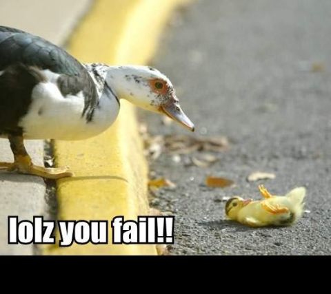 1988 Mercury Grand Marquis - A large duck looks down at a small duckling lying on its back on the asphalt. Text at the bottom reads "lolz you fail!!".