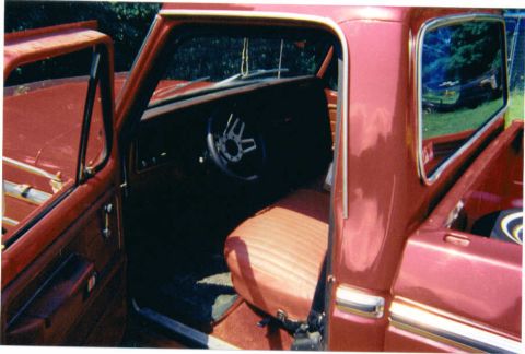 1976 Ford F-100 photo