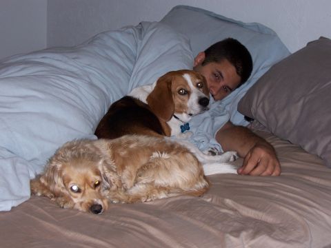 1991 Ford Bronco - A man rests in bed with two dogs, a beagle and a spaniel mix, cuddled close.