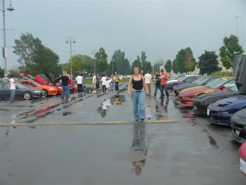1993 Ford Probe - A line of Ford Probes are parked in a wet lot, some with doors open, under a cloudy sky.